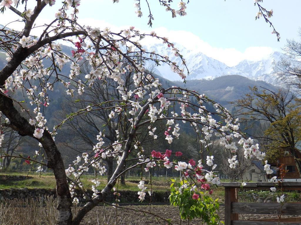 Heidihof Hotel Hakuba Luaran gambar