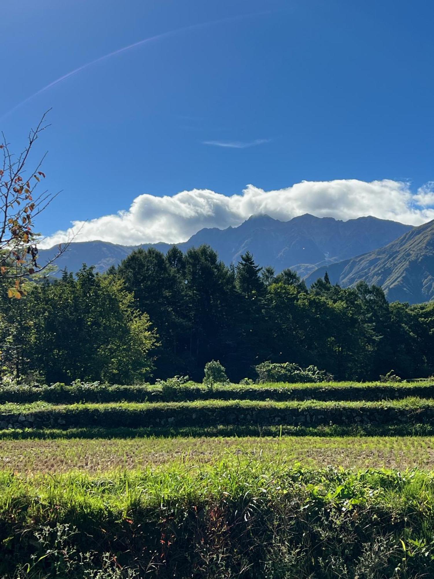 Heidihof Hotel Hakuba Luaran gambar