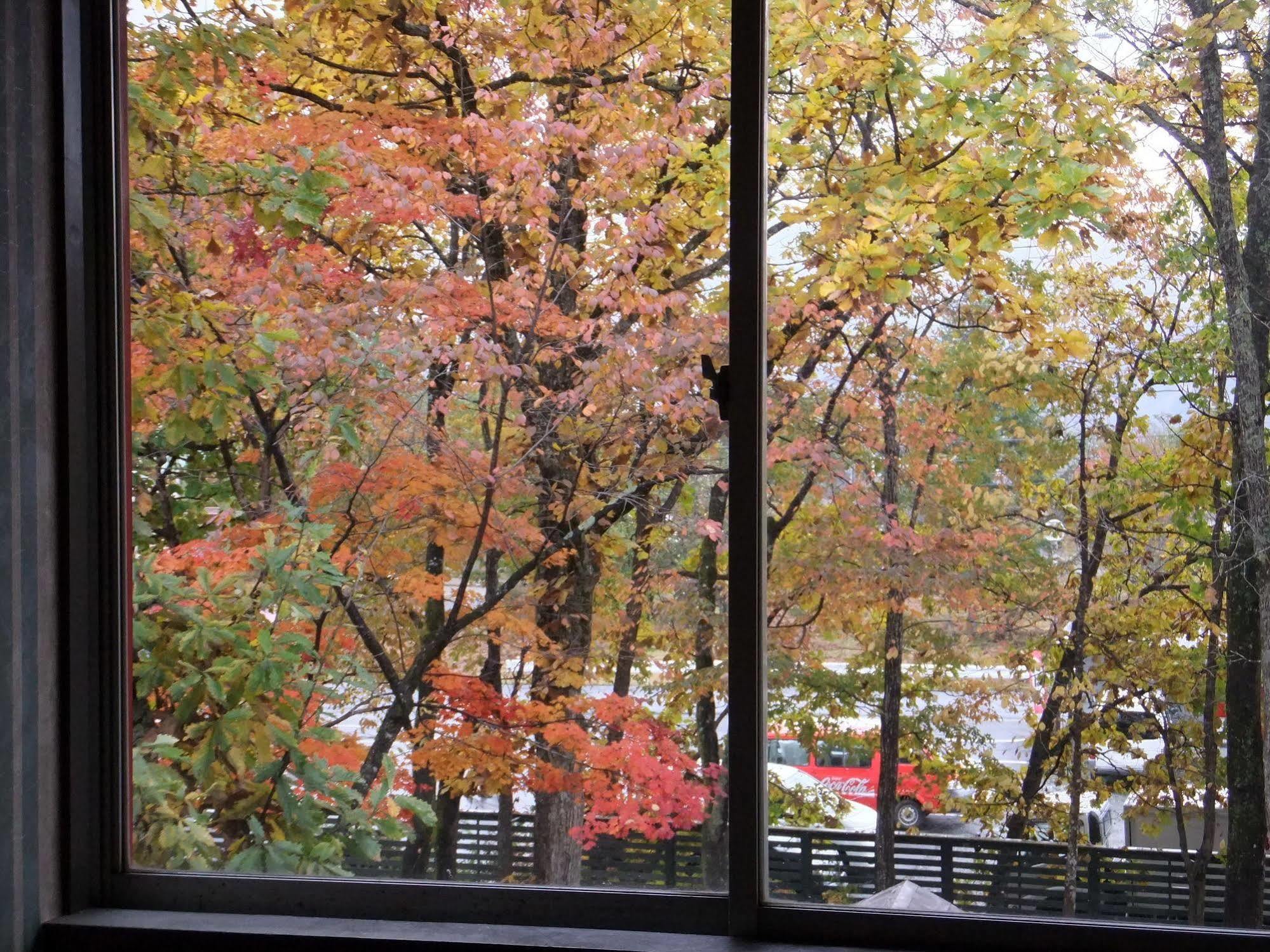 Heidihof Hotel Hakuba Luaran gambar